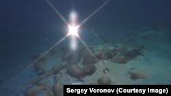 Підводні експедиції в Чорному морі. Ілюстративне фото